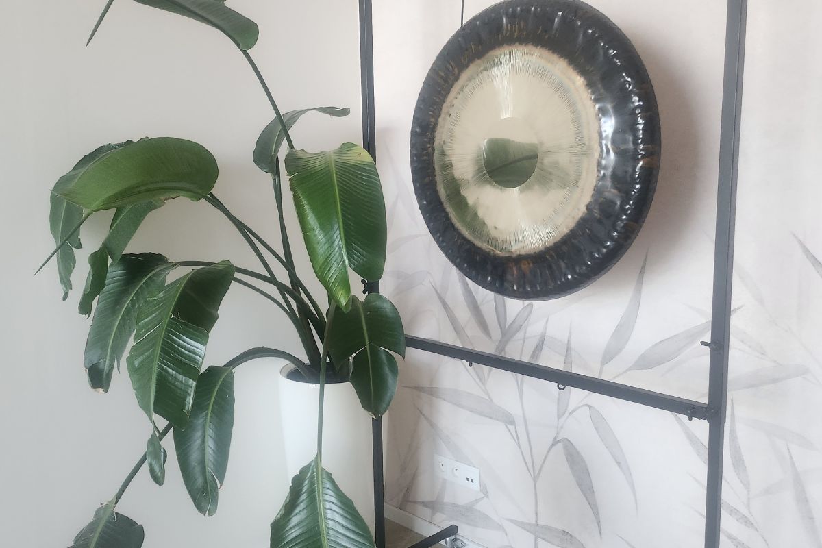 Slnečnice – priestor 3